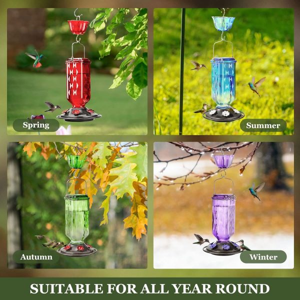 6 Feeding Ports Glass Outdoor Hummingbird Feeder all season