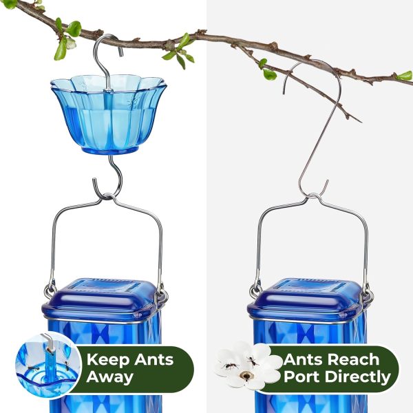 6 Feeding Ports Glass Outdoor Hummingbird Feeder anti ant