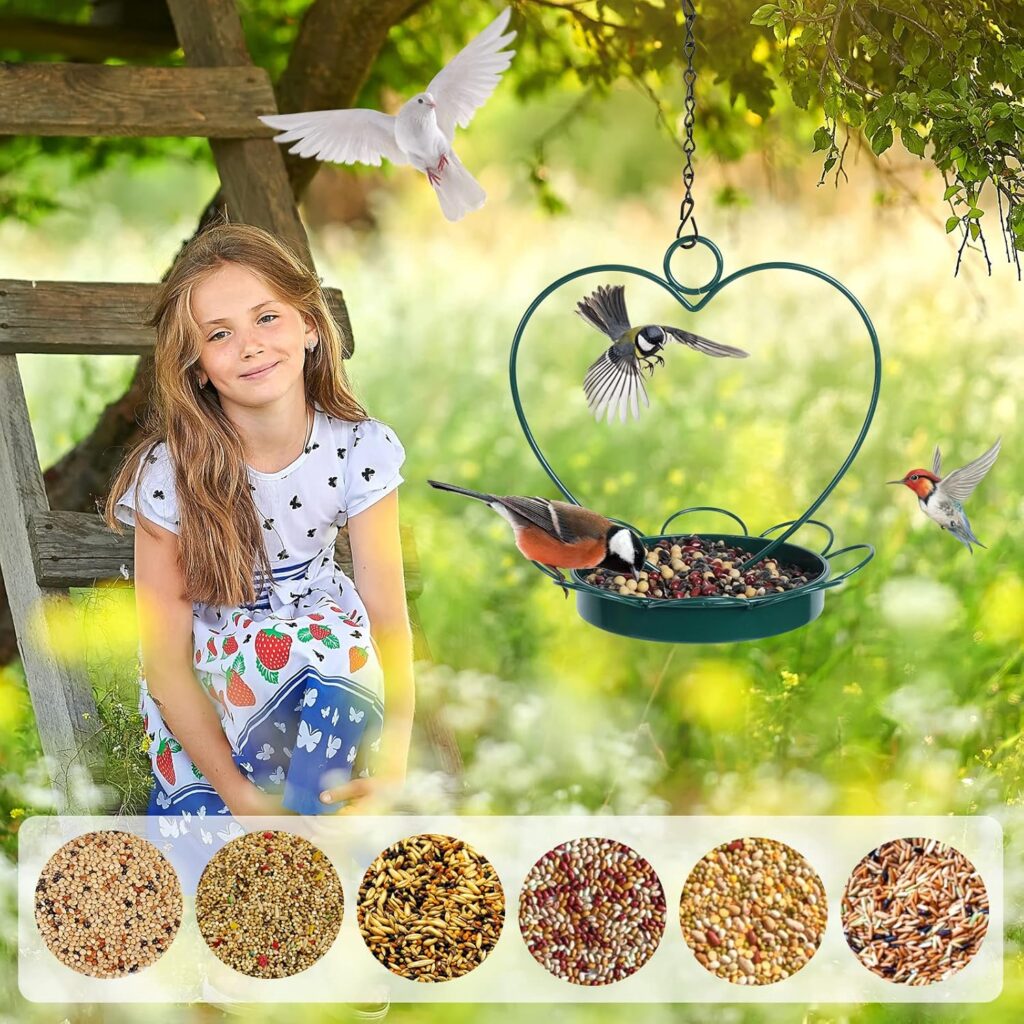Charming Heart Bird Feeder Hanging Design 5