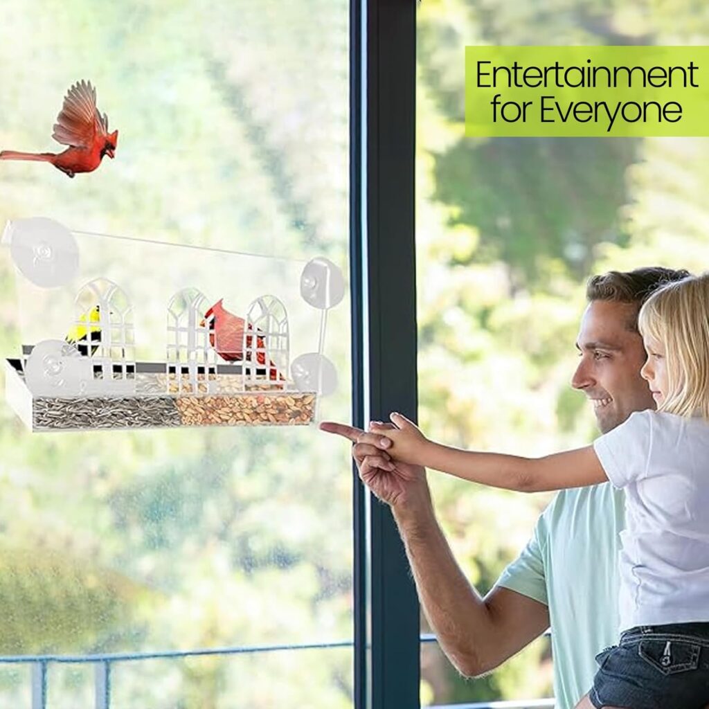 Clear Tray Bird Feeder Window Design boost mood