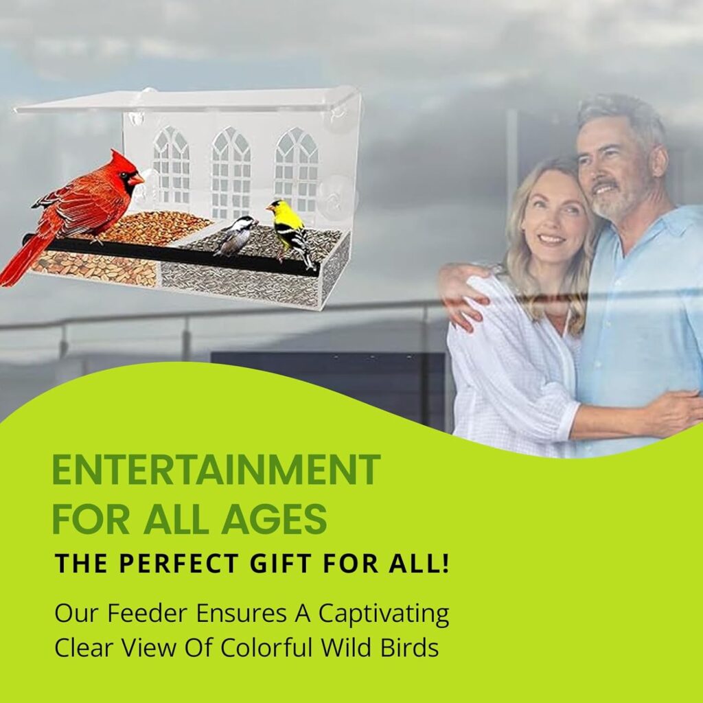 Clear Tray Bird Feeder Window Design for all ages