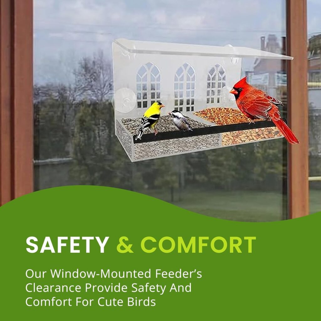 Clear Tray Bird Feeder Window Design safety