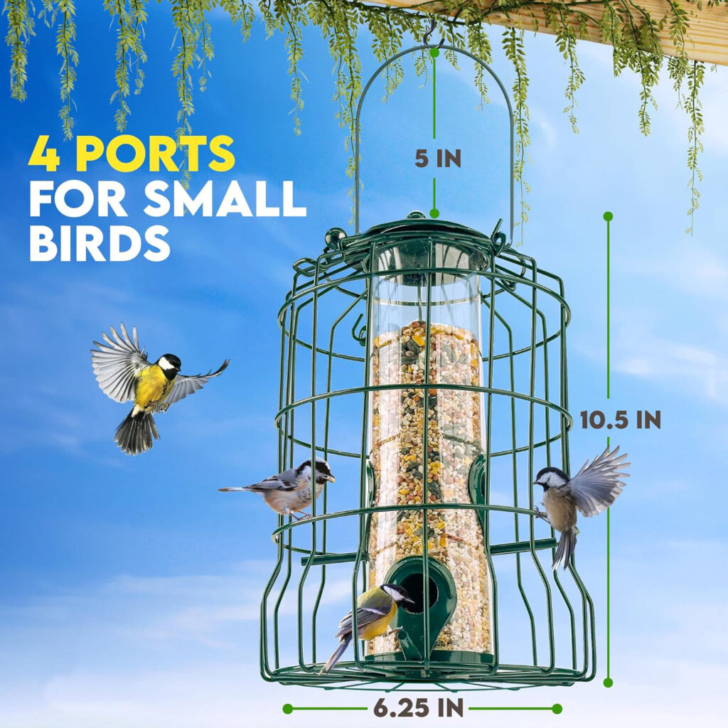 Compact Small Bird Feeder Squirrel Proof Design dimension