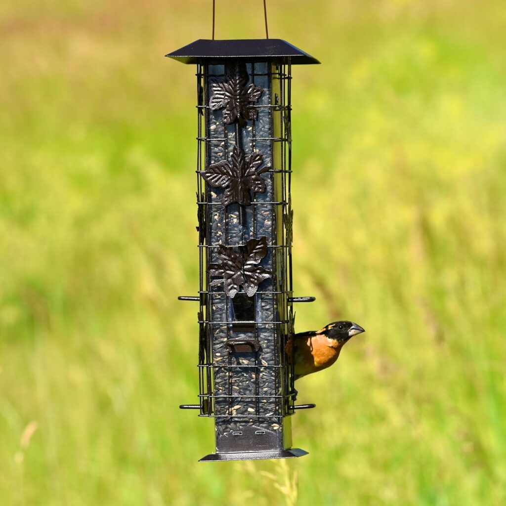 Durable Outdoor Bird Feeder Squirrel Proof Design actual