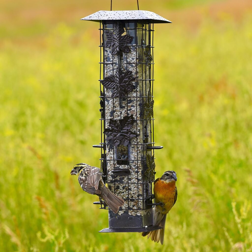 Durable Outdoor Bird Feeder Squirrel Proof Design for outdoor