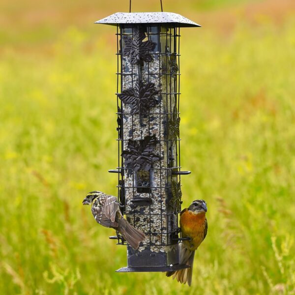 Durable Outdoor Bird Feeder With Elegant Appeal hanging