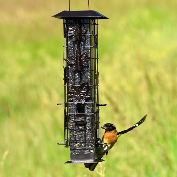 Durable Outdoor Bird Feeder With Elegant Appeal outside