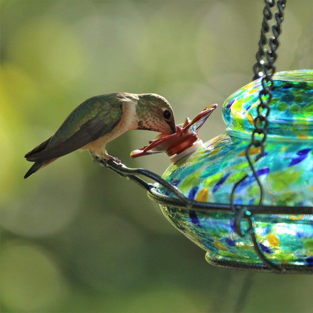 Exquisite Nectar Bird Feeder Glass Design 2