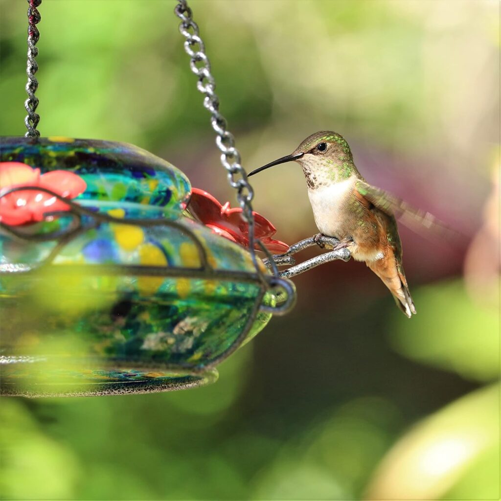 Exquisite Nectar Bird Feeder Glass Design 3