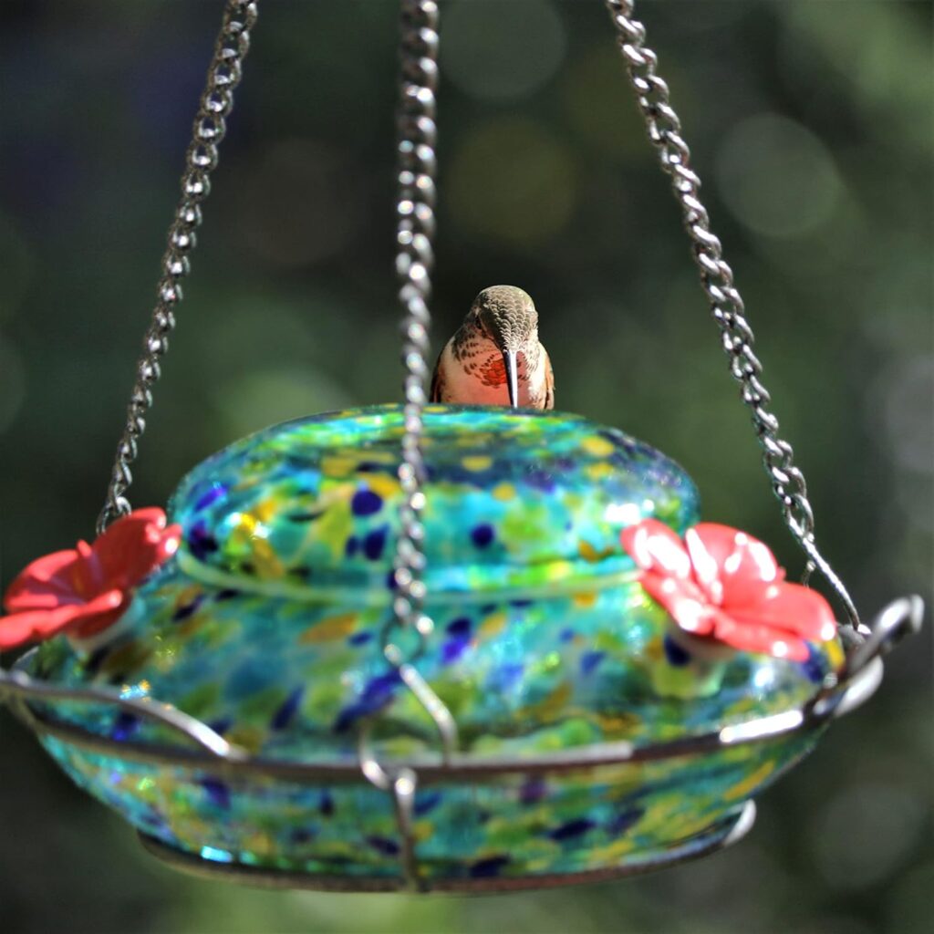 Exquisite Nectar Bird Feeder Glass Design 4
