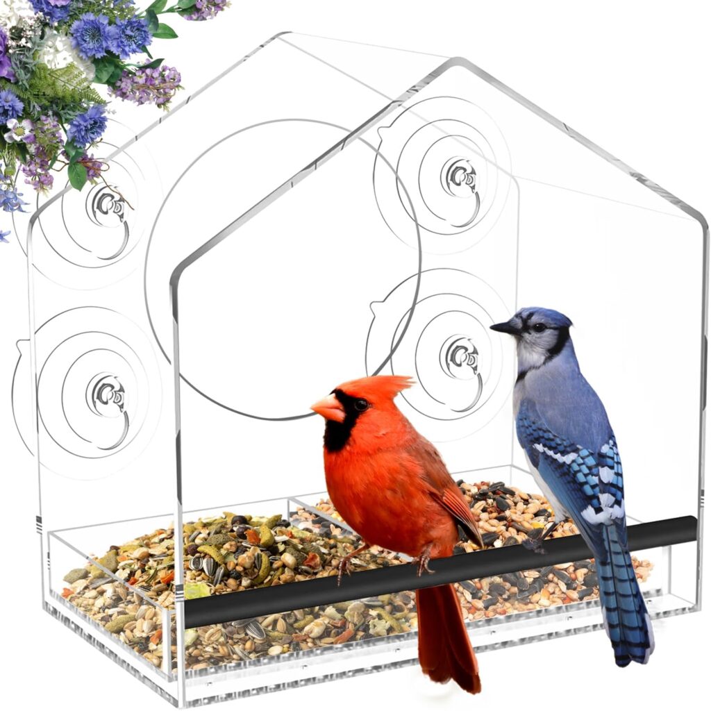 Graceful Clear Bird Feeder Window Centerpiece