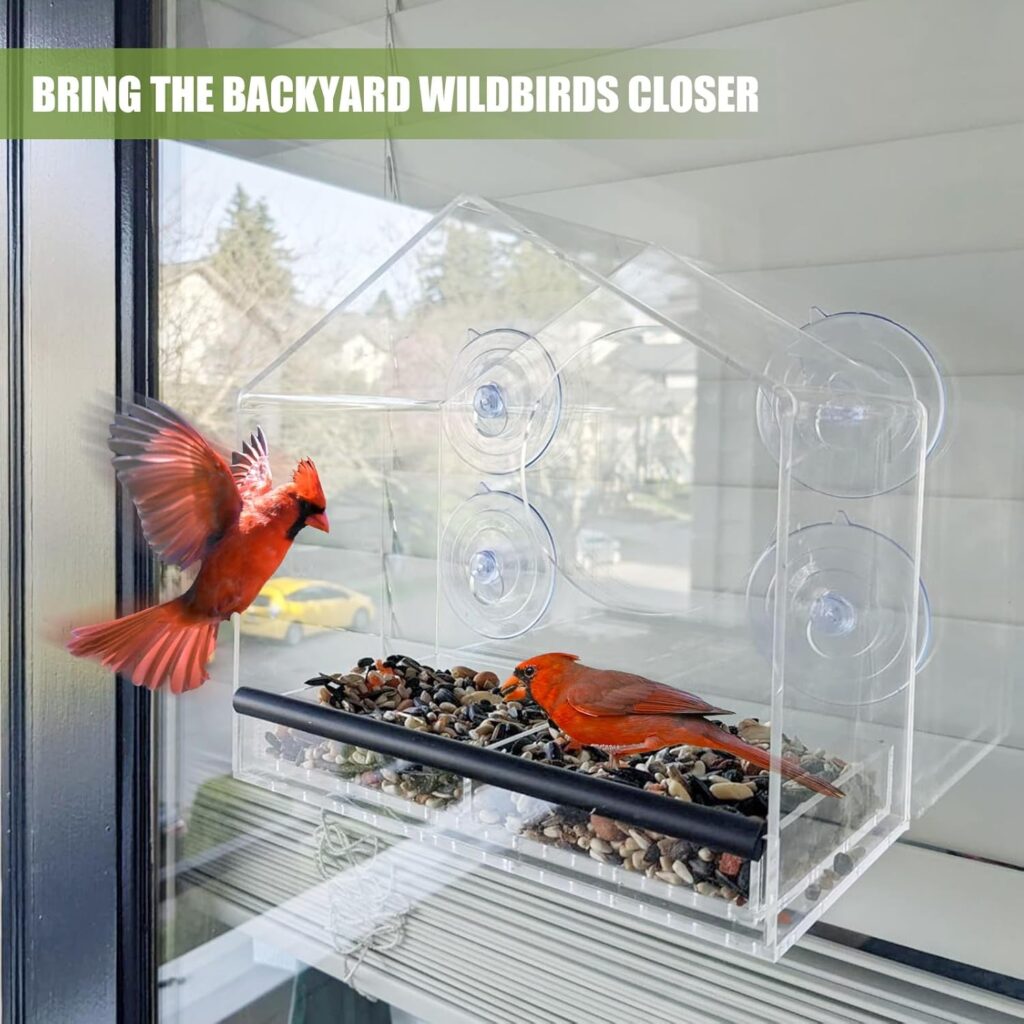 Graceful Clear Bird Feeder Window Centerpiece backyard