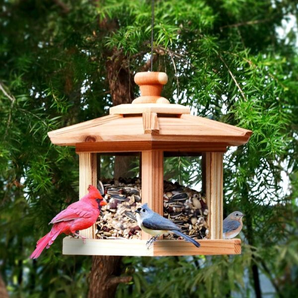 Hexagon Gazebo Bird Feeder for Backyard Birds outdoor