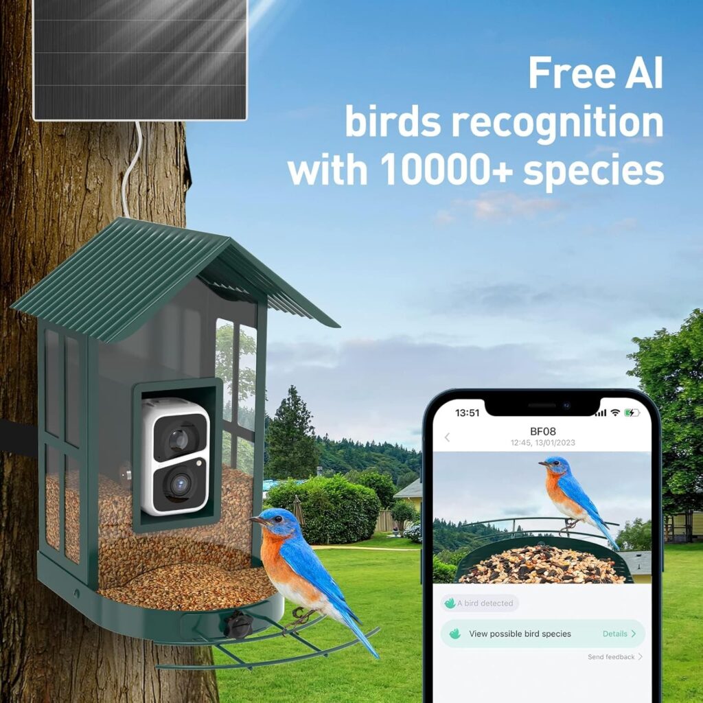Innovative Solar Bird Feeder Camera Design 2