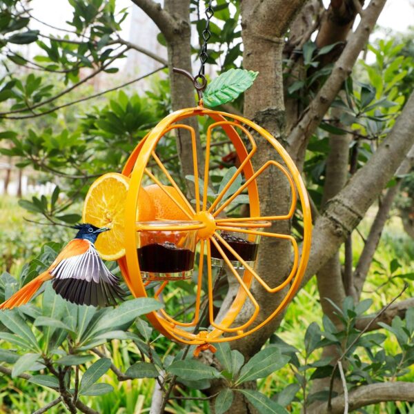 Oriole Bird Feeder Hanging Jelly Design 2