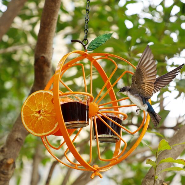 Oriole Bird Feeder Hanging Jelly Design 3