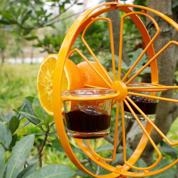 Oriole Bird Feeder Hanging Jelly Design 4