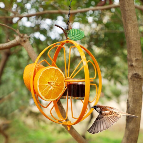 Oriole Bird Feeder Hanging Jelly Design - Image 6