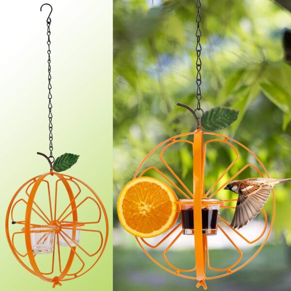 Oriole Bird Feeder Hanging Jelly Design