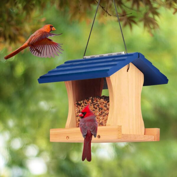 Outdoor Bird Feeder Hanging Durable Design