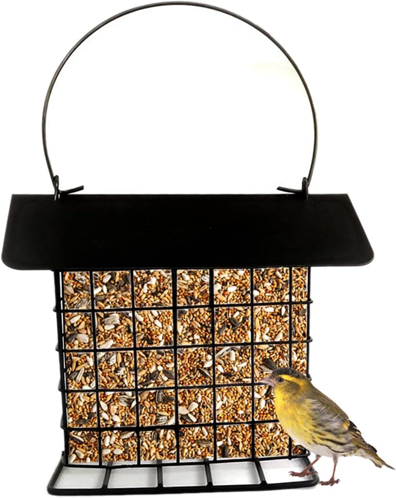 Premium Suet Bird Feeder Rainproof Design