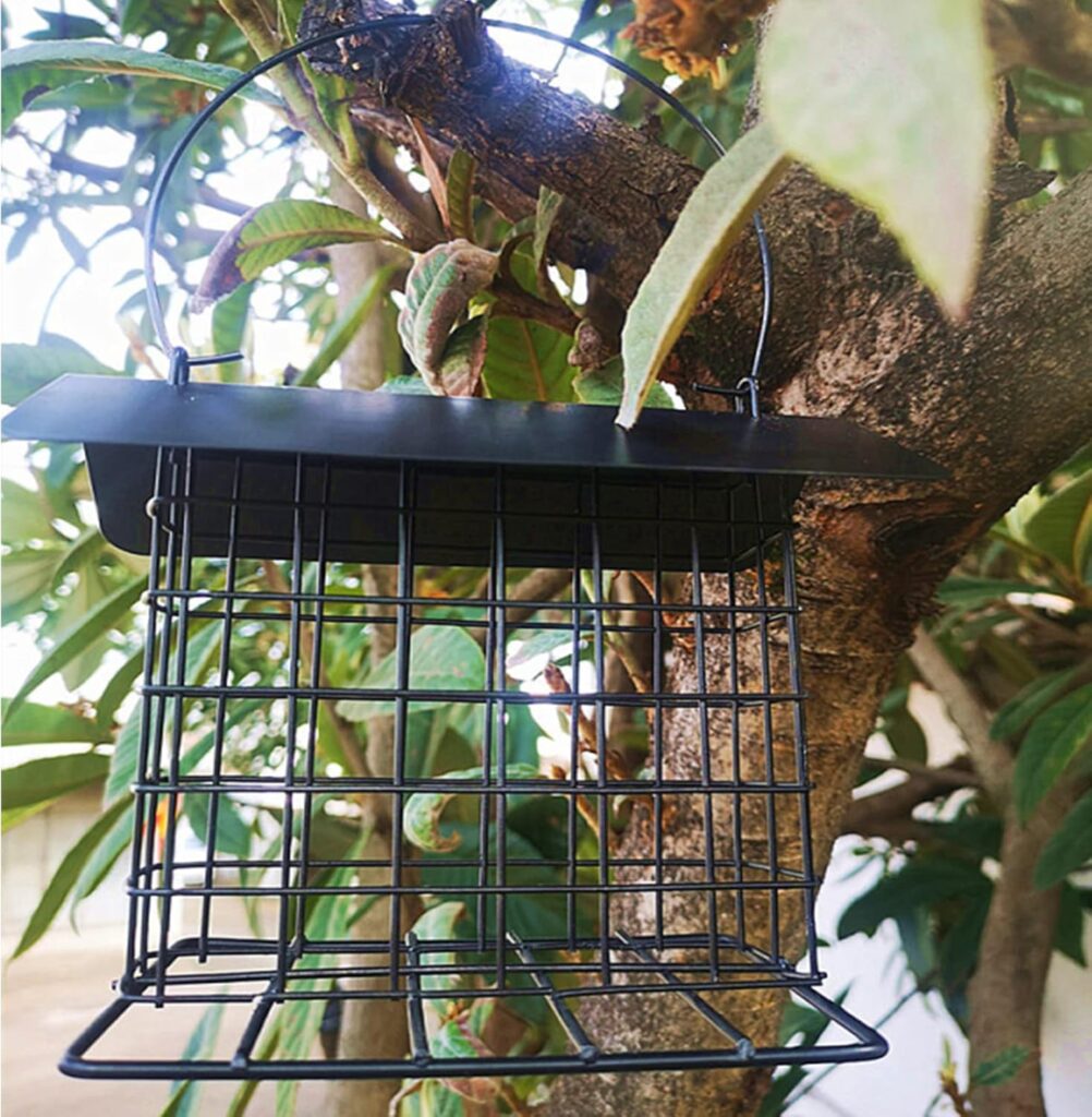 Premium Suet Bird Feeder Rainproof Design tree hanging