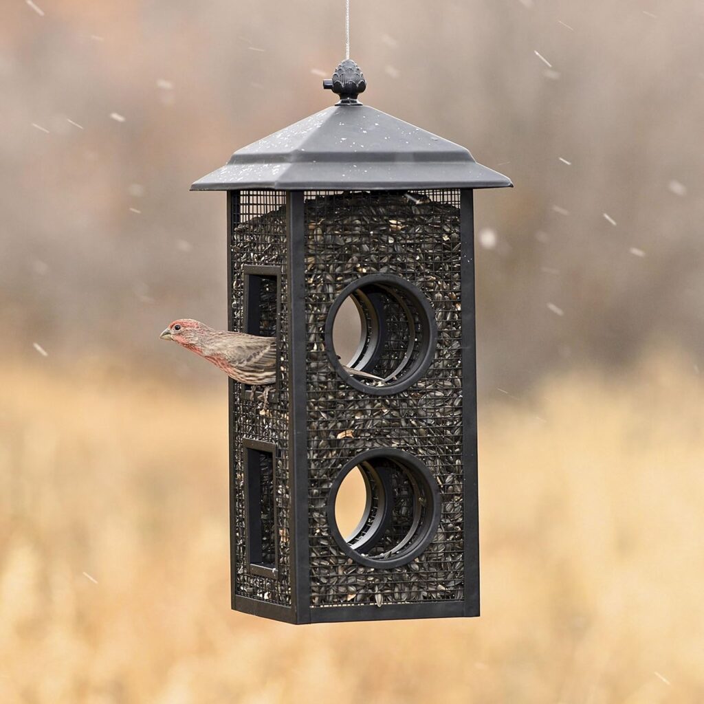 Stylish Outdoor Bird Feeder Fly-Through Design 1