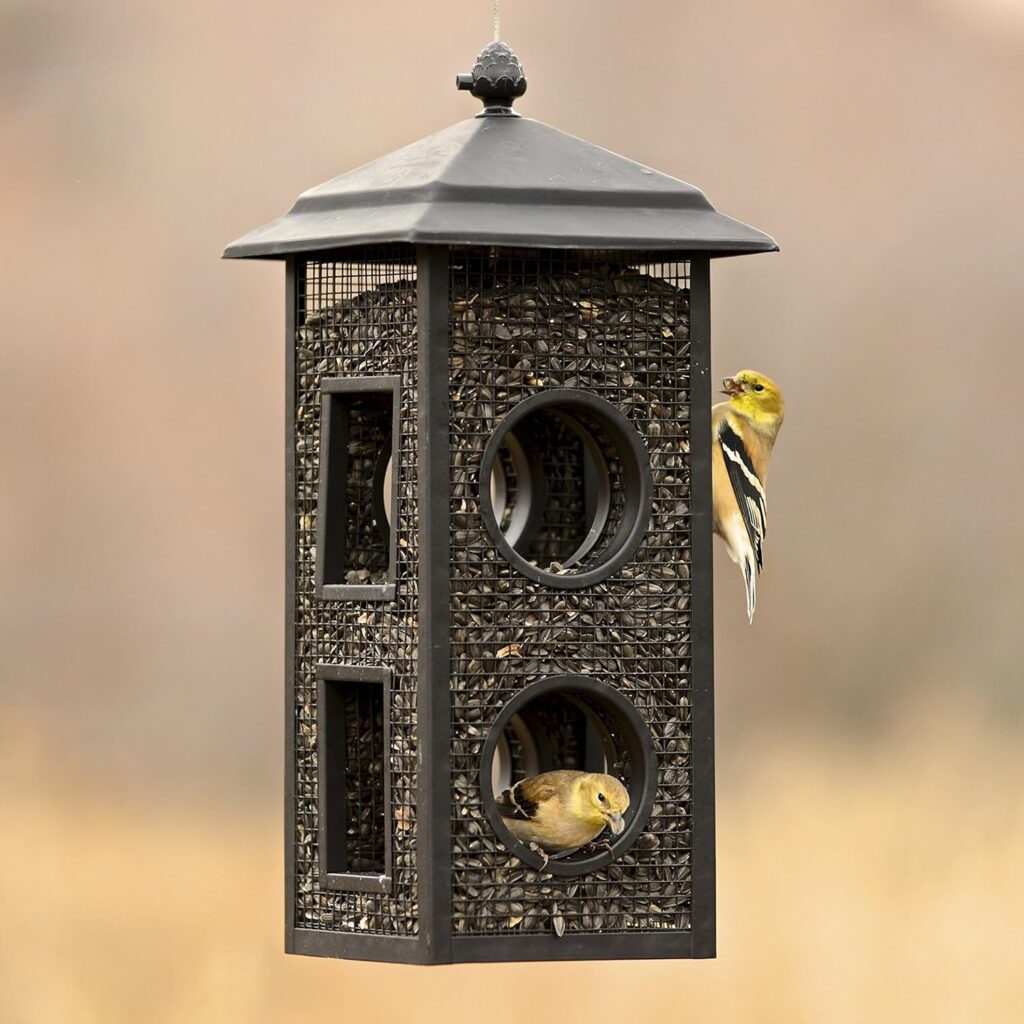 Stylish Outdoor Bird Feeder Fly-Through Design