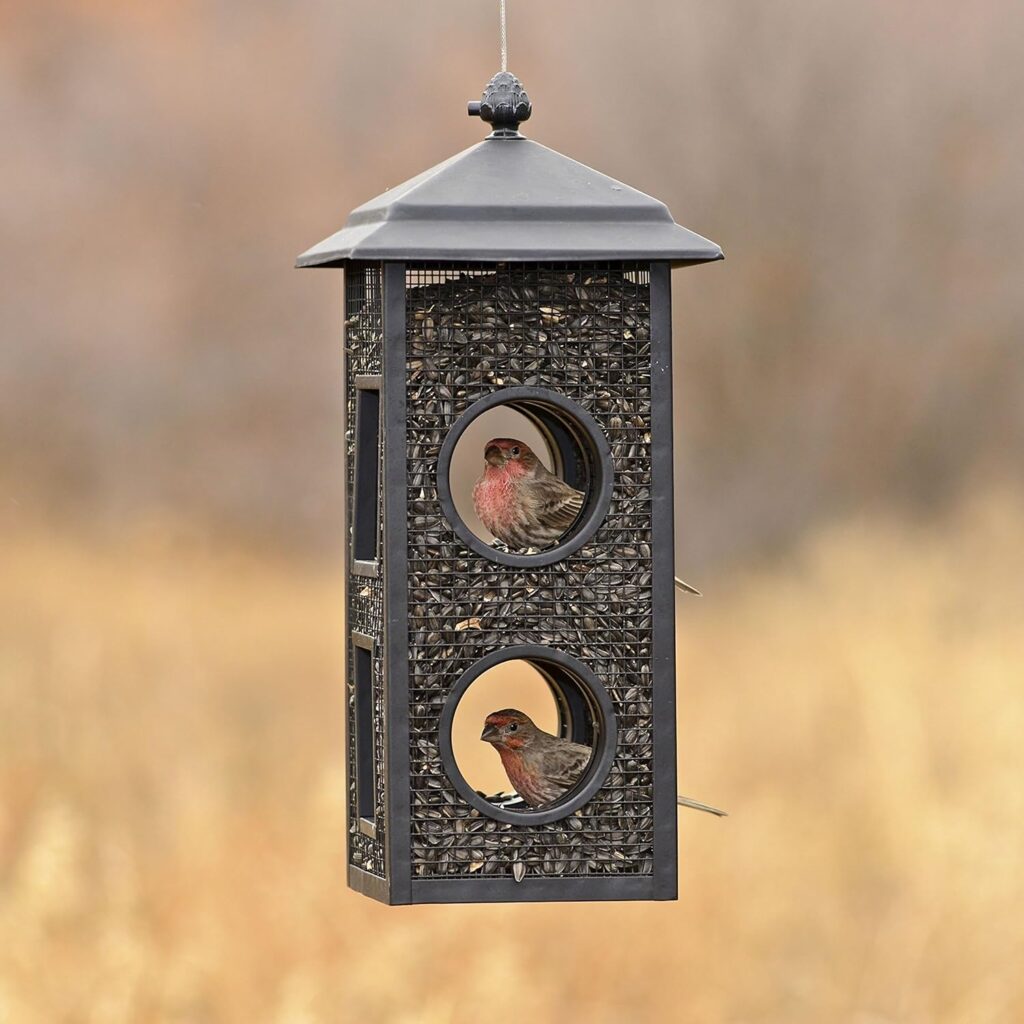 Stylish Outdoor Bird Feeder Fly-Through Design 2