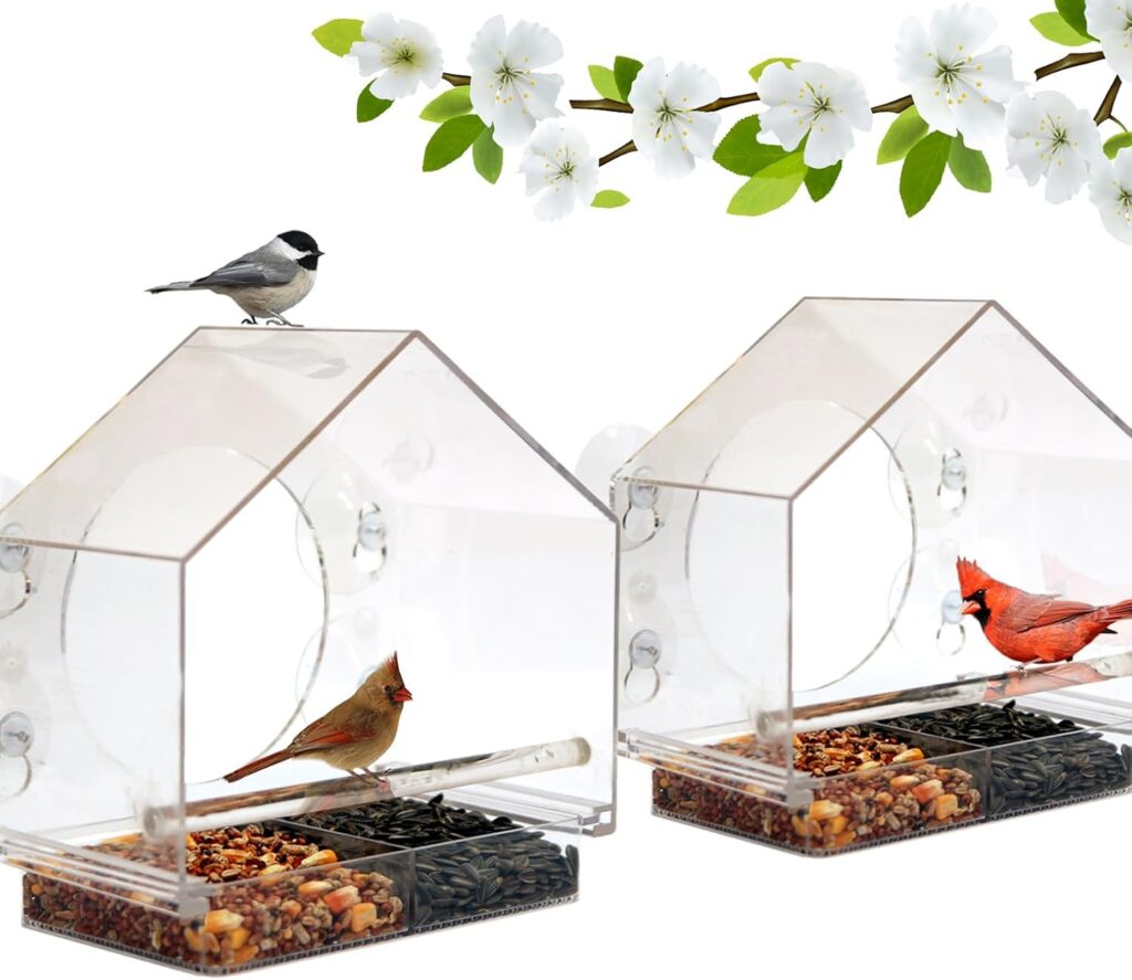 Transparent Clear Bird Feeder Window Design actual