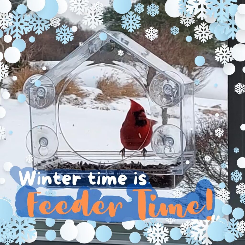 Transparent Clear Bird Feeder Window Design for winter