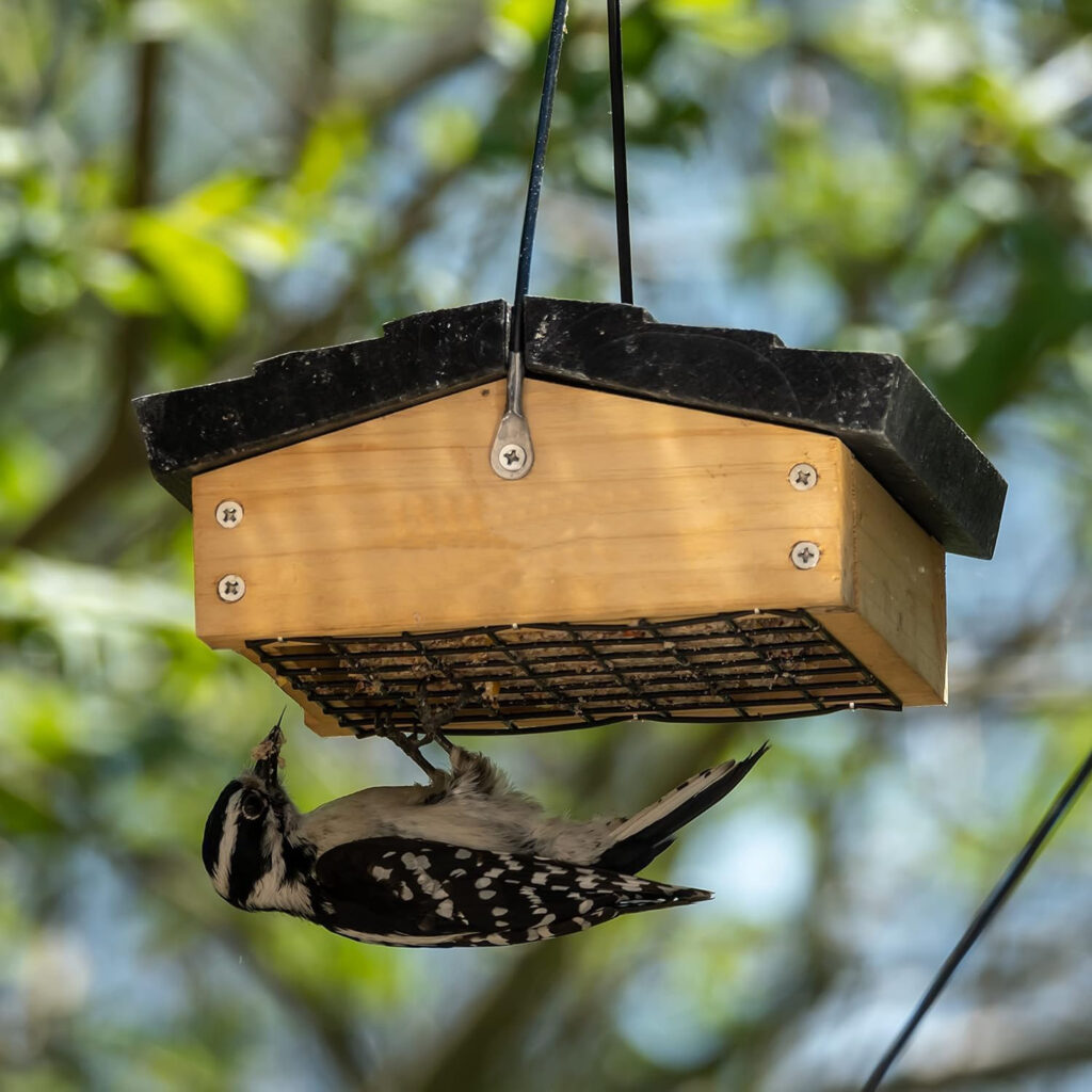 Unique Wood Bird Feeder Upside Down Design tree hanging