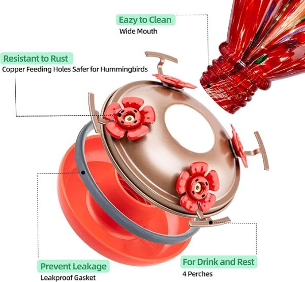 Vibrant Glass Hummingbird Feeder for Outdoor 3