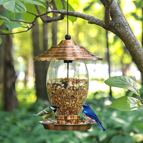 Wild Bird Feeder for Outdoor 5