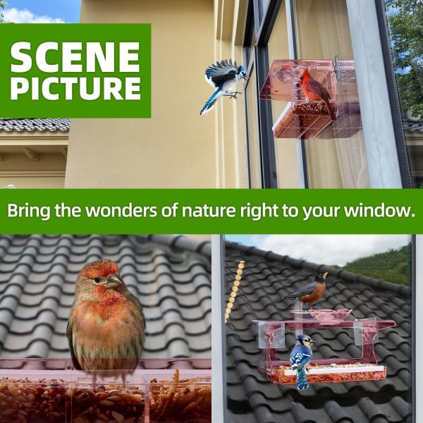 Window Bird Feeder with Clear Viewing Design scene