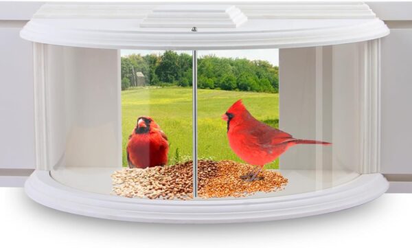 Window Bird Feeder with Strong Suction Design