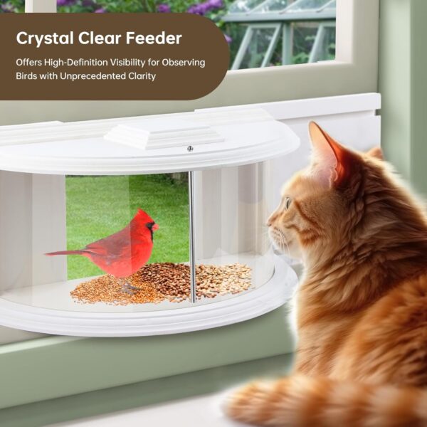 Window Bird Feeder with Strong Suction Design clear