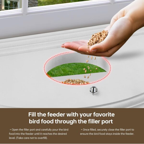 Window Bird Feeder with Strong Suction Design filler port