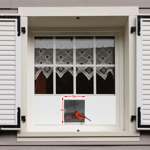 Window Bird Feeder with Strong Suction Design size