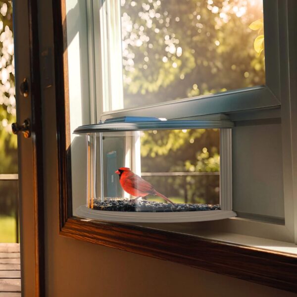 Window Bird Feeder with Strong Suction Design window